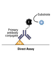 Direct ELISA Protocol